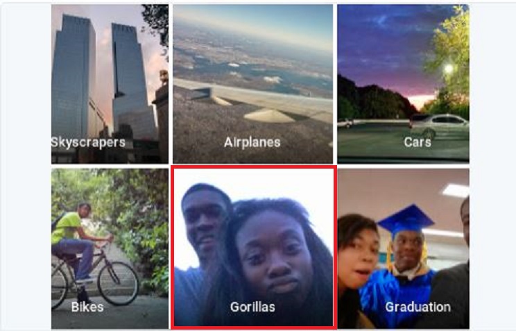 КАКАВ ГАФ: Гугл препознао афроамерички пар као гориле